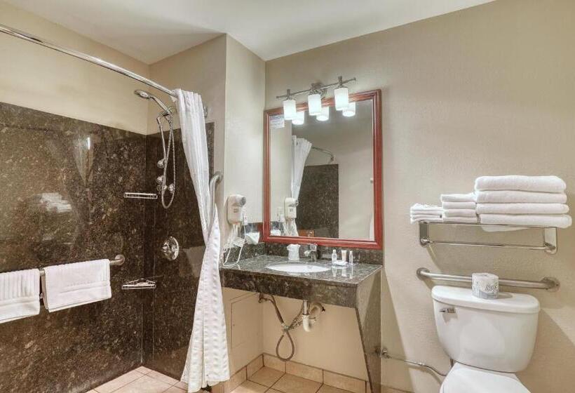 Люкс Адаптированный для Инвалидов, Comfort Suites Appleton Airport