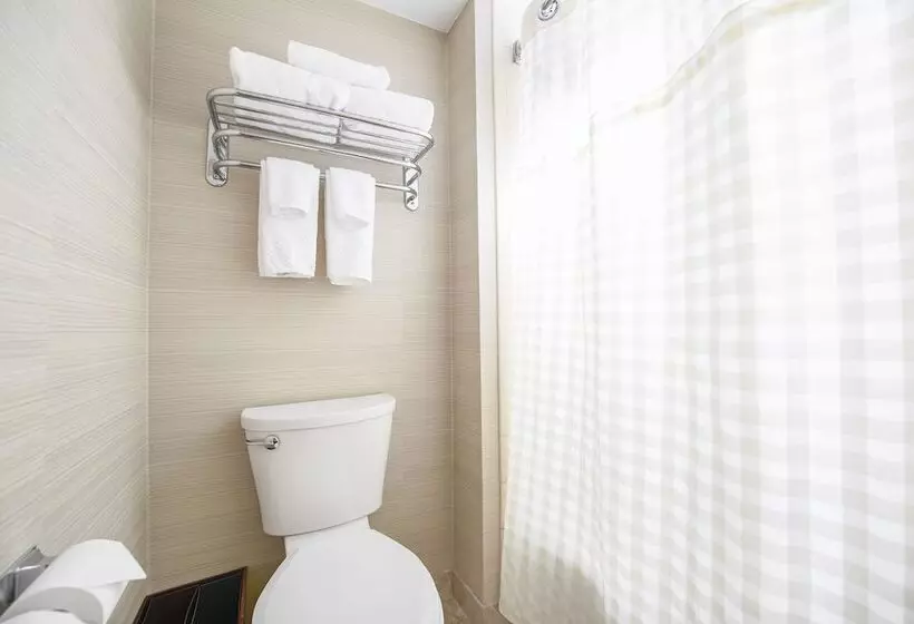 スイート, Doubletree Suites By Hilton Hotel Cincinnati   Blue Ash