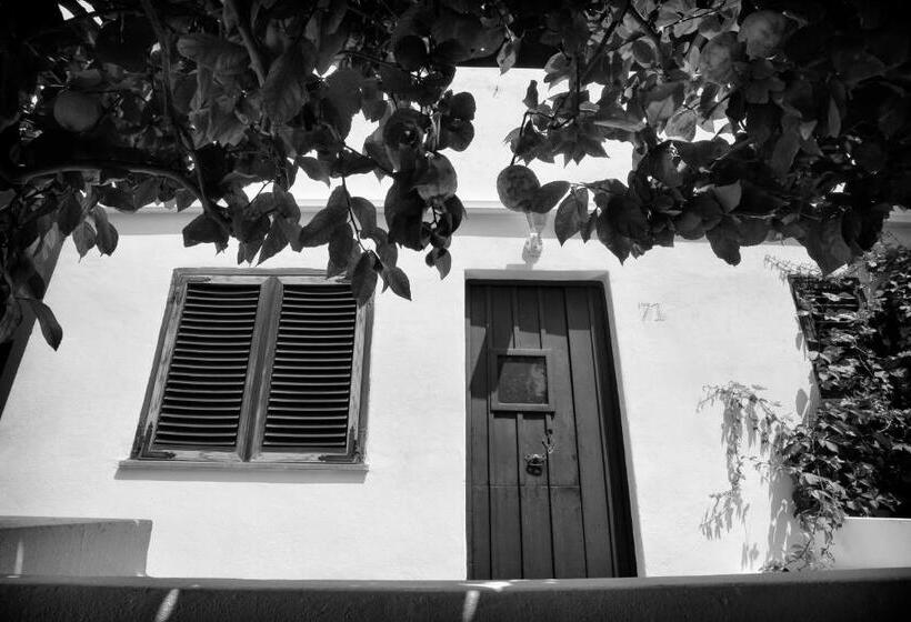 标准间, Gattopardo Park