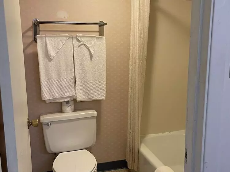 اتاق استاندارد با 2 تخت دوبل, Horseshoe Curve Lodge
