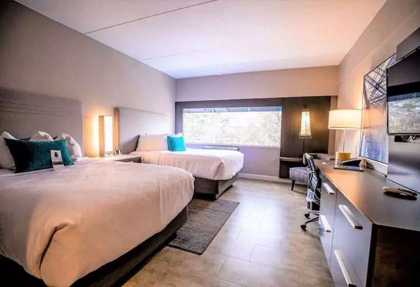 ２ダブルベッドのスタンダードルーム, Indigo Harrisburg   Hershey, An Ihg