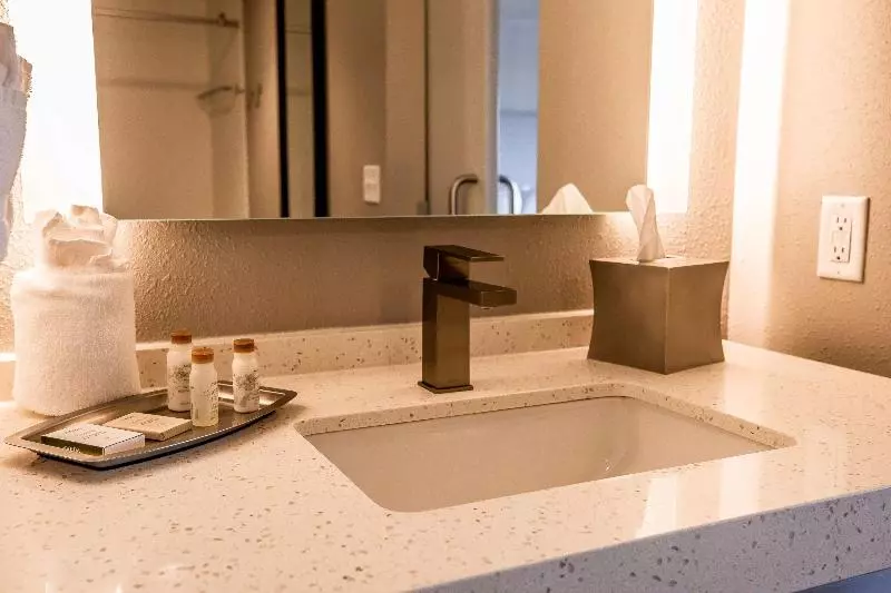 キングサイズベッドのスイートルーム, Indigo Harrisburg   Hershey, An Ihg