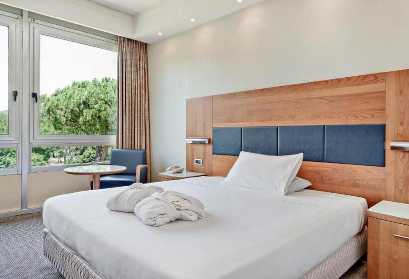 اتاق کلاسیک, Italiana Hotels Florence