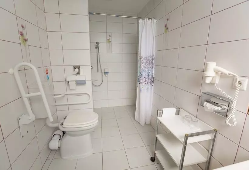 اتاق استاندارد برای معلولان, Pannonia