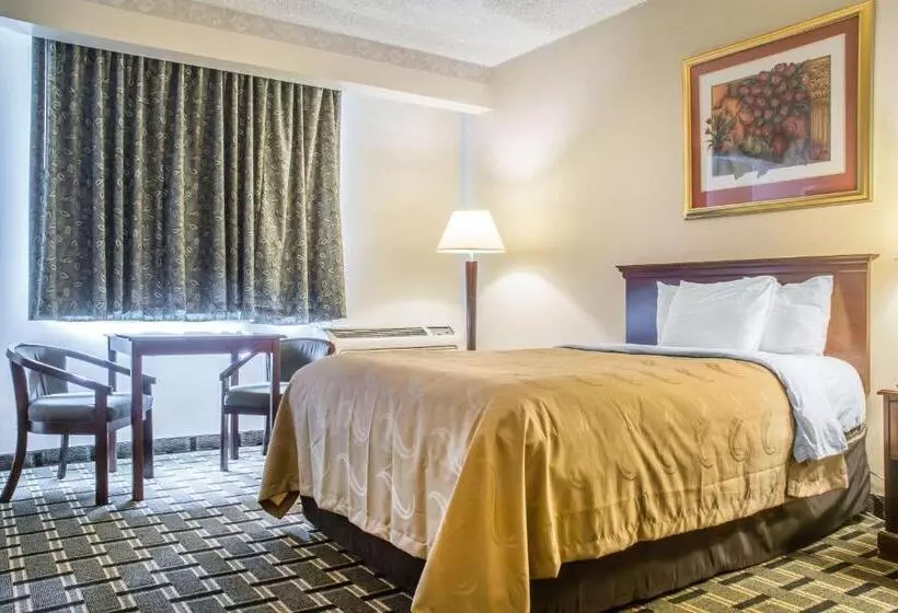 ２ダブルベッドのスタンダードルーム, Quality Inn & Suites Palm Island Indoor Waterpark
