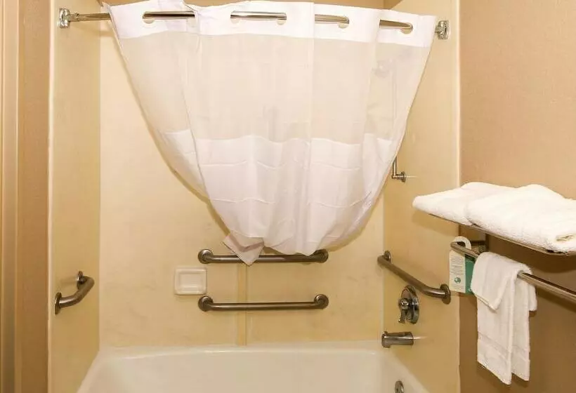 ２ダブルベッドのスタンダードルーム, Quality Inn Clinton  Laurens I26