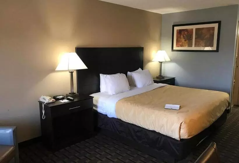 キングサイズベッドのスタンダードルーム, Quality Inn Clinton  Laurens I26