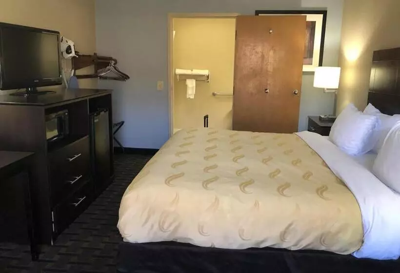 身障者適用キングサイズベッドルーム, Quality Inn Clinton  Laurens I26