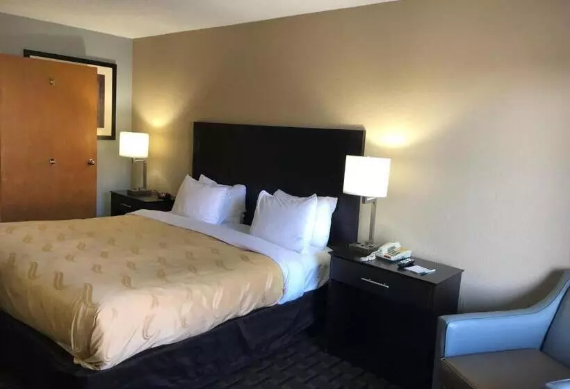 身障者適用キングサイズベッドルーム, Quality Inn Clinton  Laurens I26