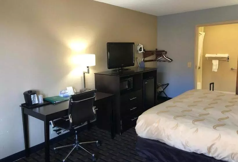 身障者適用キングサイズベッドルーム, Quality Inn Clinton  Laurens I26