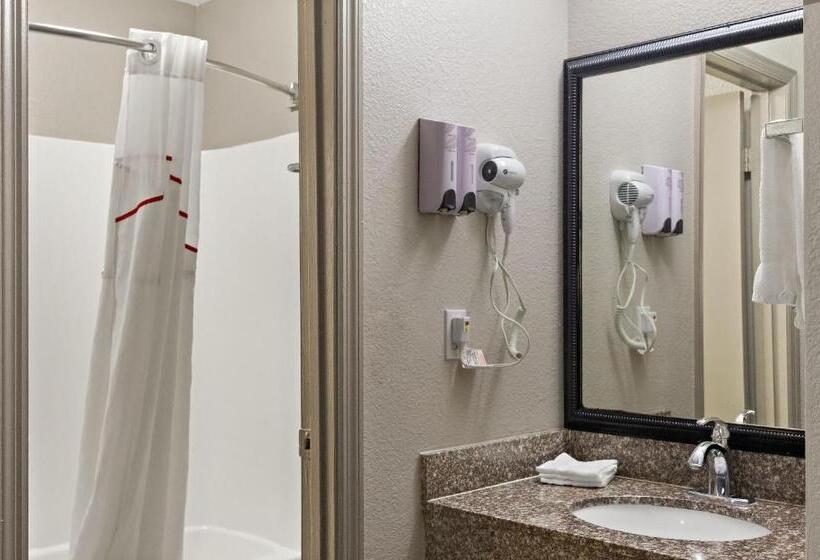 디럭스 룸 킹사이즈 침대, Red Roof Inn Baldwin