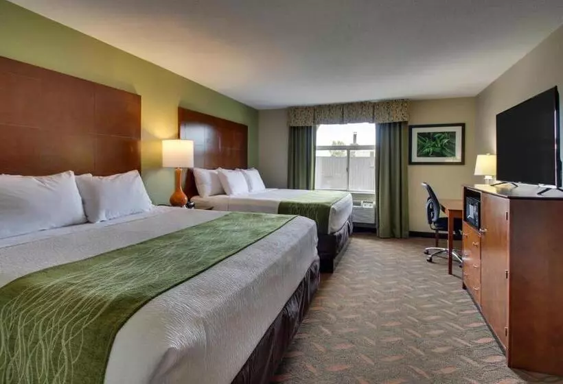 スタンダードルーム, Wingfield Inn & Suites