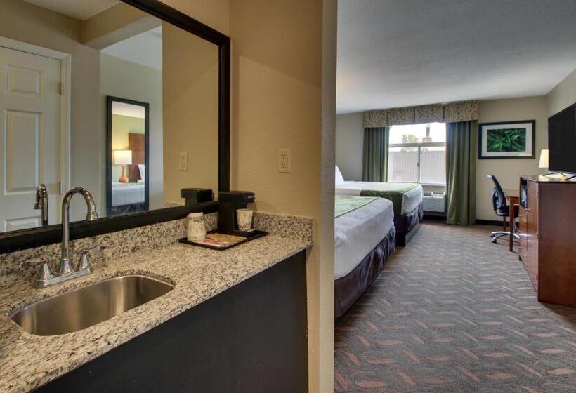 חדר סטנדרט, Wingfield Inn & Suites