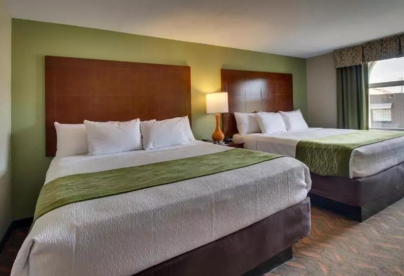 スタンダードルーム, Wingfield Inn & Suites