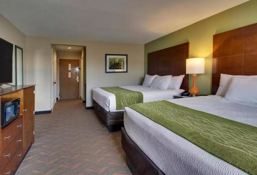 スタンダードルーム, Wingfield Inn & Suites