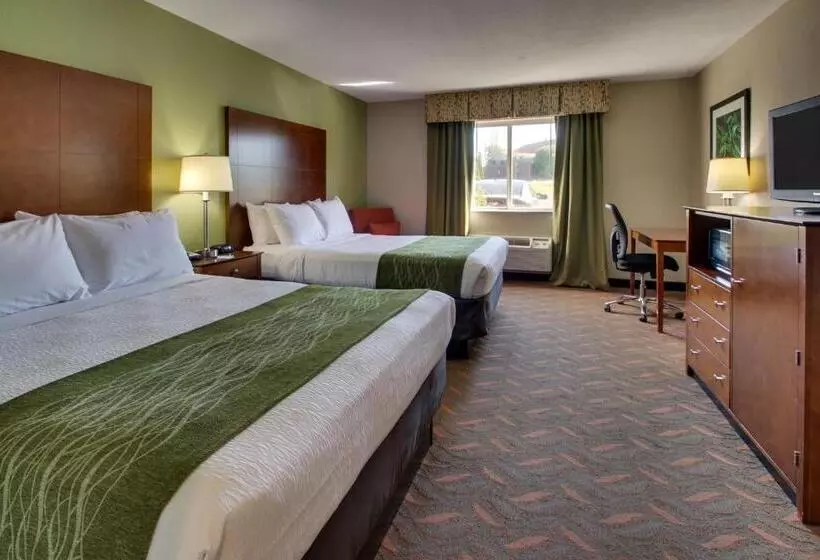 スタンダードルーム, Wingfield Inn & Suites