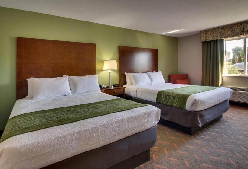 חדר סטנדרט, Wingfield Inn & Suites