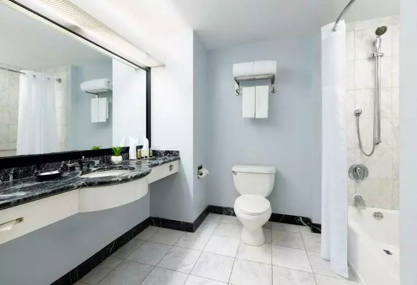 اتاق سوپریور با تخت بزرگ, Millennium Hotel Broadway Times Square