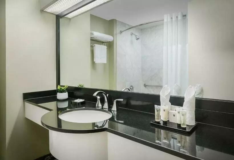 اتاق استاندارد با تخت بزرگ, Millennium Hotel Broadway Times Square