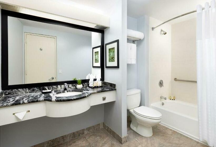 适合残疾人使用的标准间, Millennium Hotel Broadway Times Square