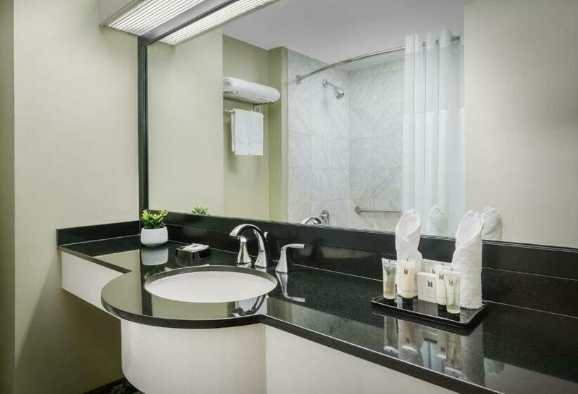 اتاق استاندارد برای معلولان, Millennium Hotel Broadway Times Square