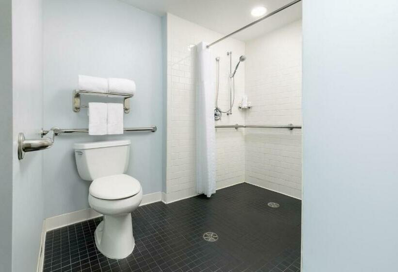 适合残疾人使用的标准间, Millennium Hotel Broadway Times Square