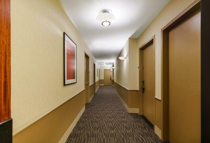 适合残疾人使用的标准间, Millennium Hotel Broadway Times Square