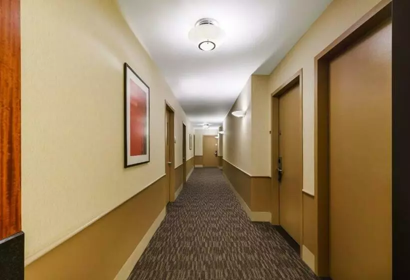 اتاق استاندارد, Millennium Hotel Broadway Times Square