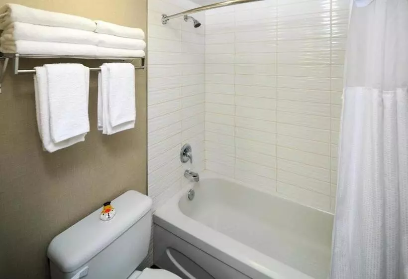 クイーンサイズベッドのスタンダードルーム, Accent Inns Kelowna