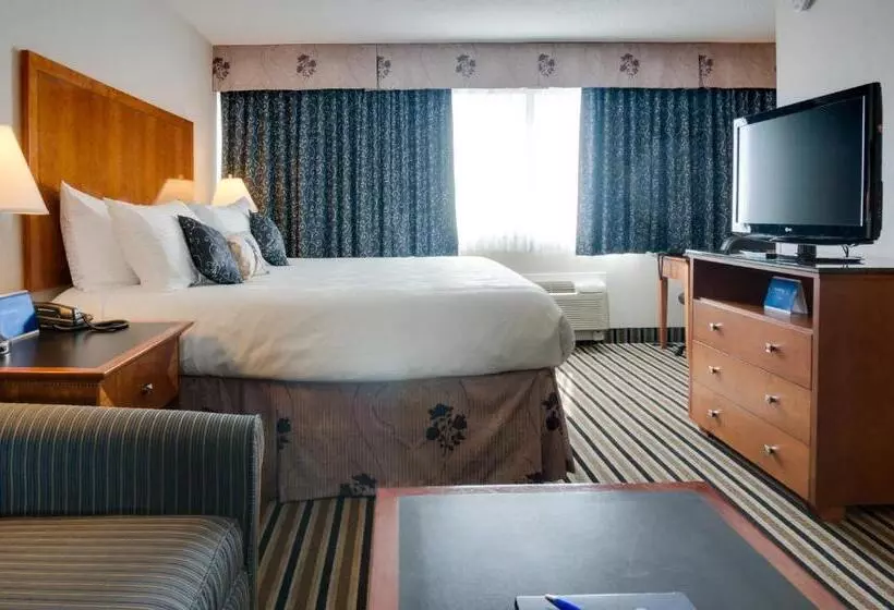 اتاق استاندارد با تخت بزرگ, Best Western Plus Suites Downtown Calgary