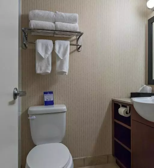 اتاق استاندارد با تخت بزرگ, Best Western Plus Suites Downtown Calgary