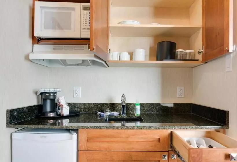 اتاق استاندارد با تخت بزرگ, Best Western Plus Suites Downtown Calgary
