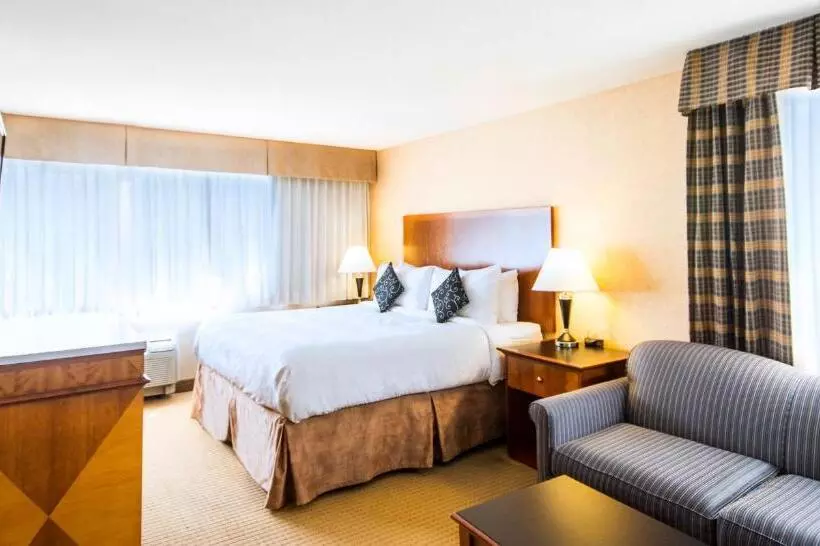 اتاق استاندارد با تخت بزرگ, Best Western Plus Suites Downtown Calgary