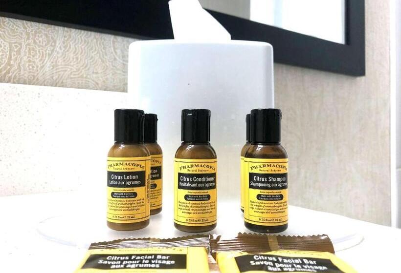 غرفة قياسية, Best Western Plus Suites Downtown Calgary