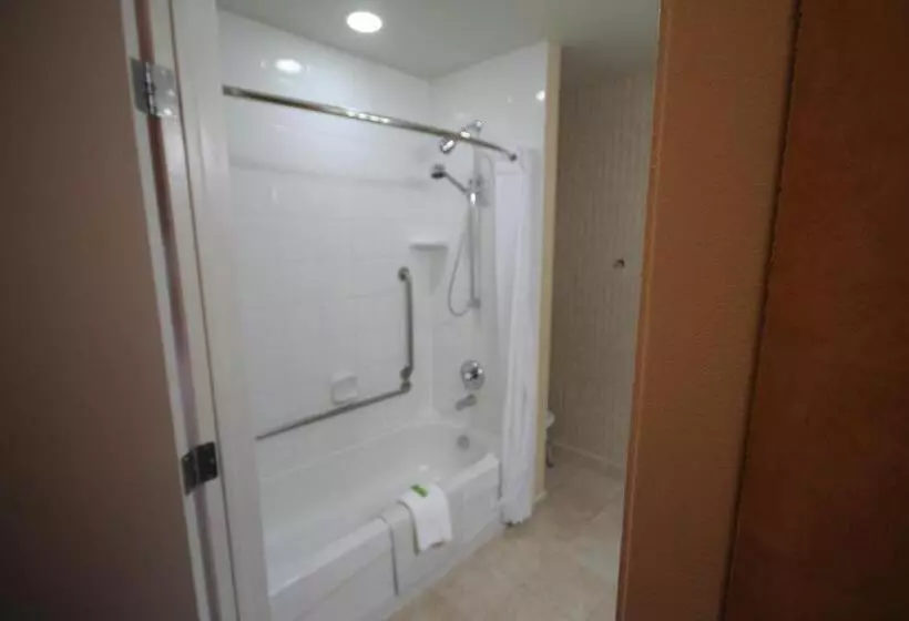 اتاق استاندارد برای معلولان, Best Western Plus Suites Downtown Calgary