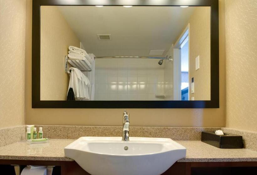 キングサイズベッドのエクゼクティブルーム, Best Western Plus Suites Downtown Calgary