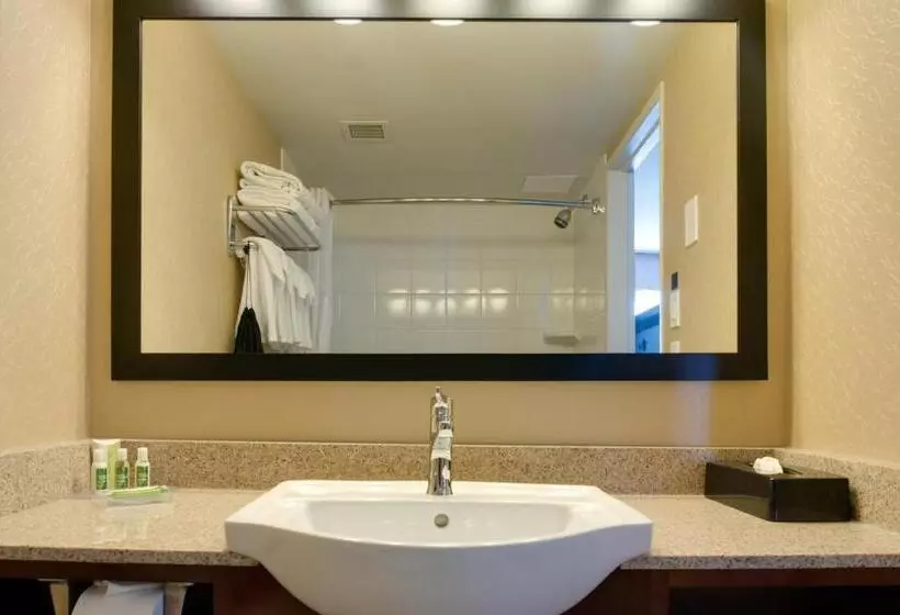 اتاق اجرایی با تخت بزرگ, Best Western Plus Suites Downtown Calgary
