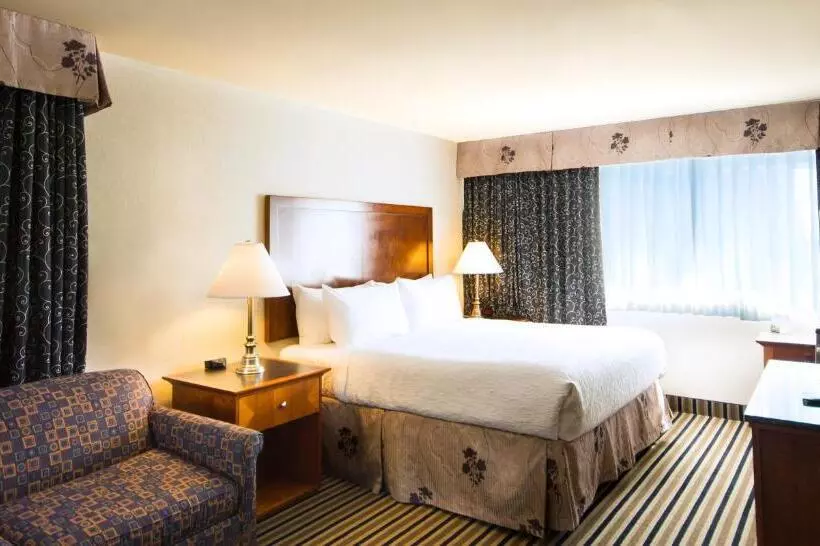 اتاق اجرایی با تخت بزرگ, Best Western Plus Suites Downtown Calgary