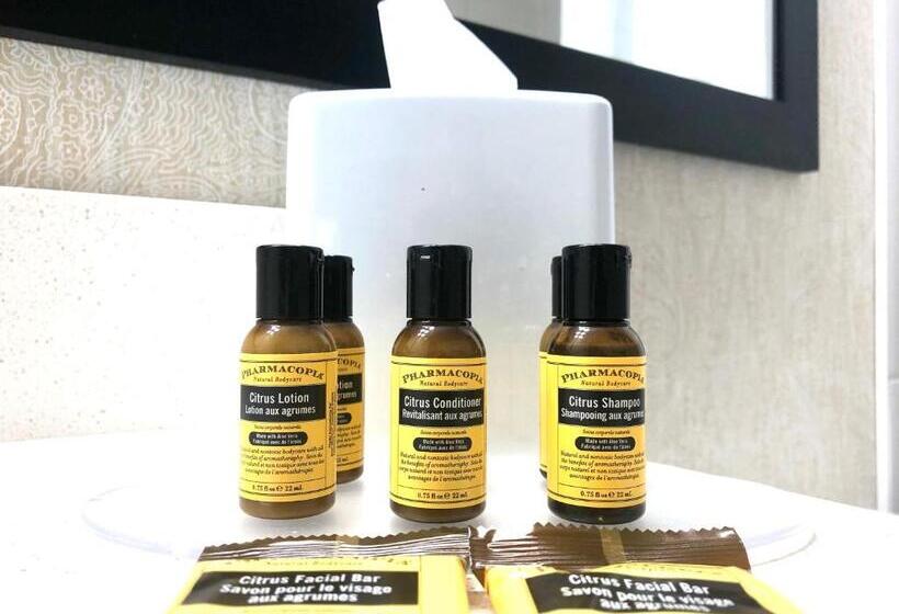 شقة غرفتين, Best Western Plus Suites Downtown Calgary