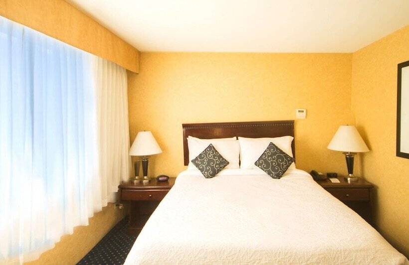 شقة غرفة واحدة, Best Western Plus Suites Downtown Calgary