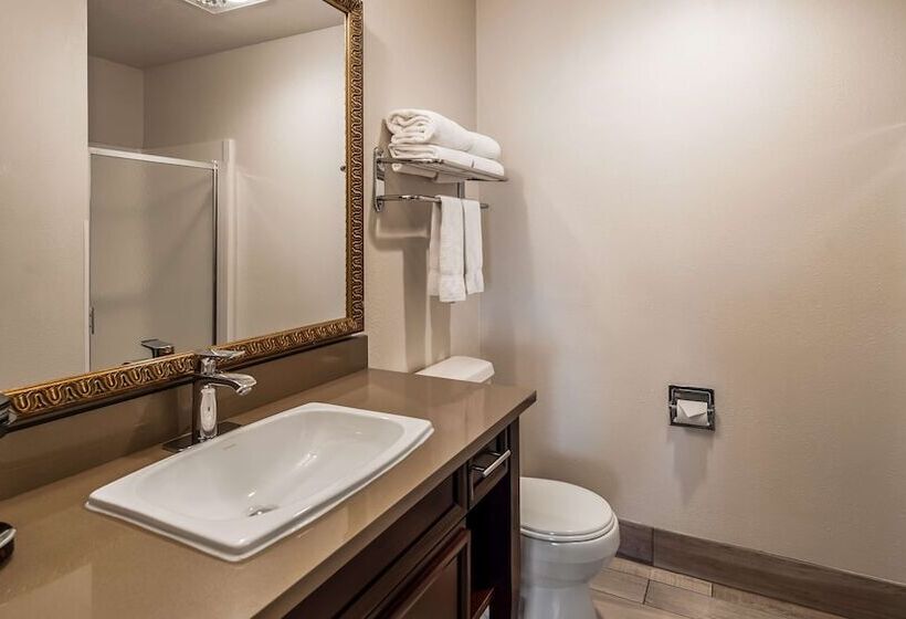 스위트, Best Western Salbasgeon Inn & Suites