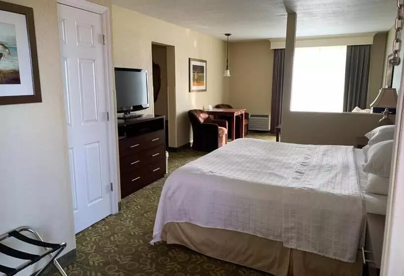キングサイズベッドのスタンダードルーム, Best Western Salbasgeon Inn & Suites