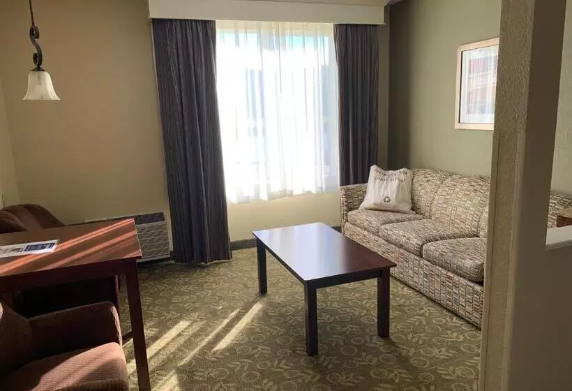 キングサイズベッドのスタンダードルーム, Best Western Salbasgeon Inn & Suites