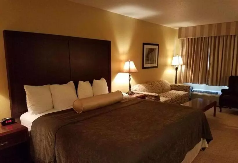 キングサイズベッドのスタンダードルーム, Best Western Salbasgeon Inn & Suites