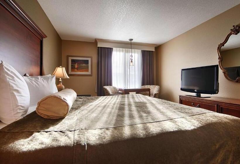 스탠다드 룸 킹사이즈 침대, Best Western Salbasgeon Inn & Suites