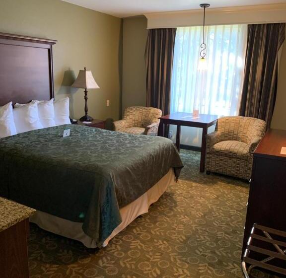 Номер Стандарт, Best Western Salbasgeon Inn & Suites