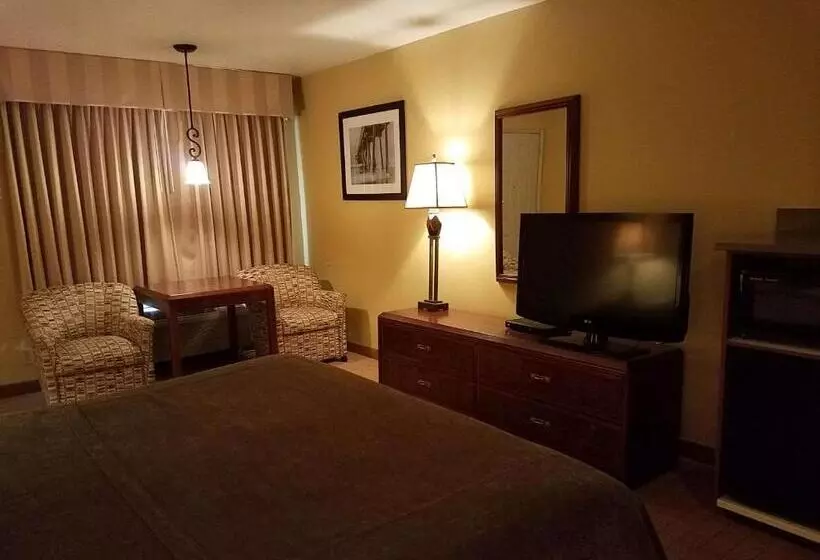 キングサイズベッドのスイートルーム, Best Western Salbasgeon Inn & Suites