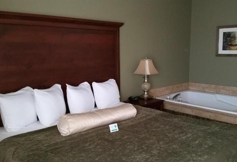 Люкс, Best Western Salbasgeon Inn & Suites