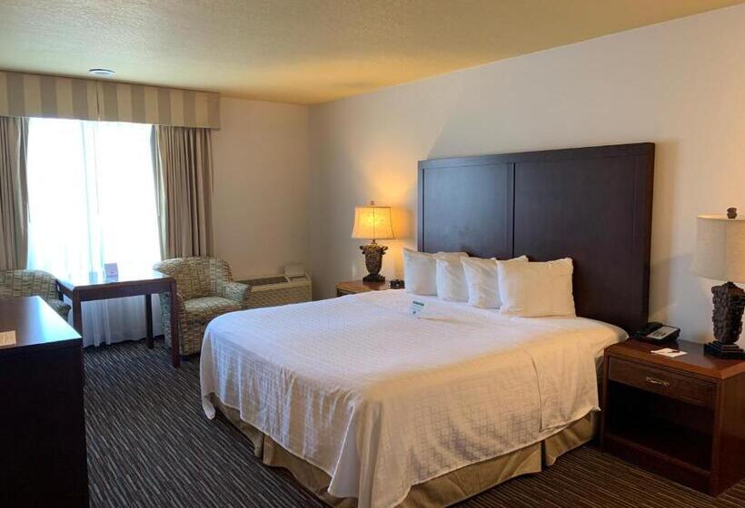 Номер Стандарт Адаптированный для Инвалидов, Best Western Salbasgeon Inn & Suites