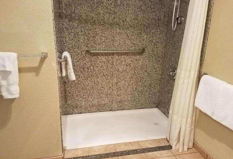 Номер Стандарт Адаптированный для Инвалидов, Best Western Salbasgeon Inn & Suites